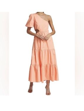 wayf champagne dress Asymmetrical open back draped gown